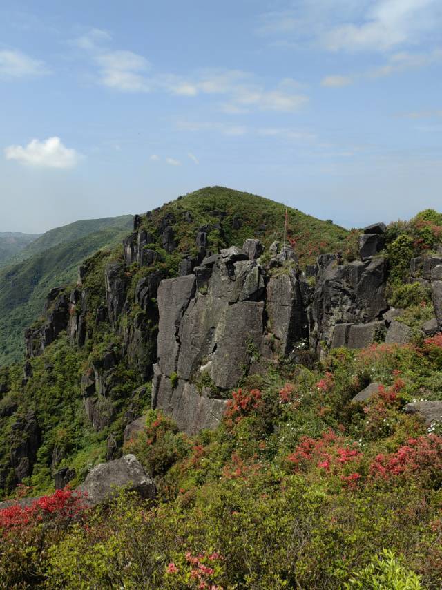 包包