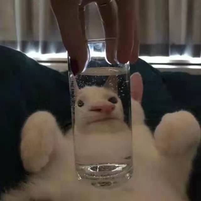 阿涛