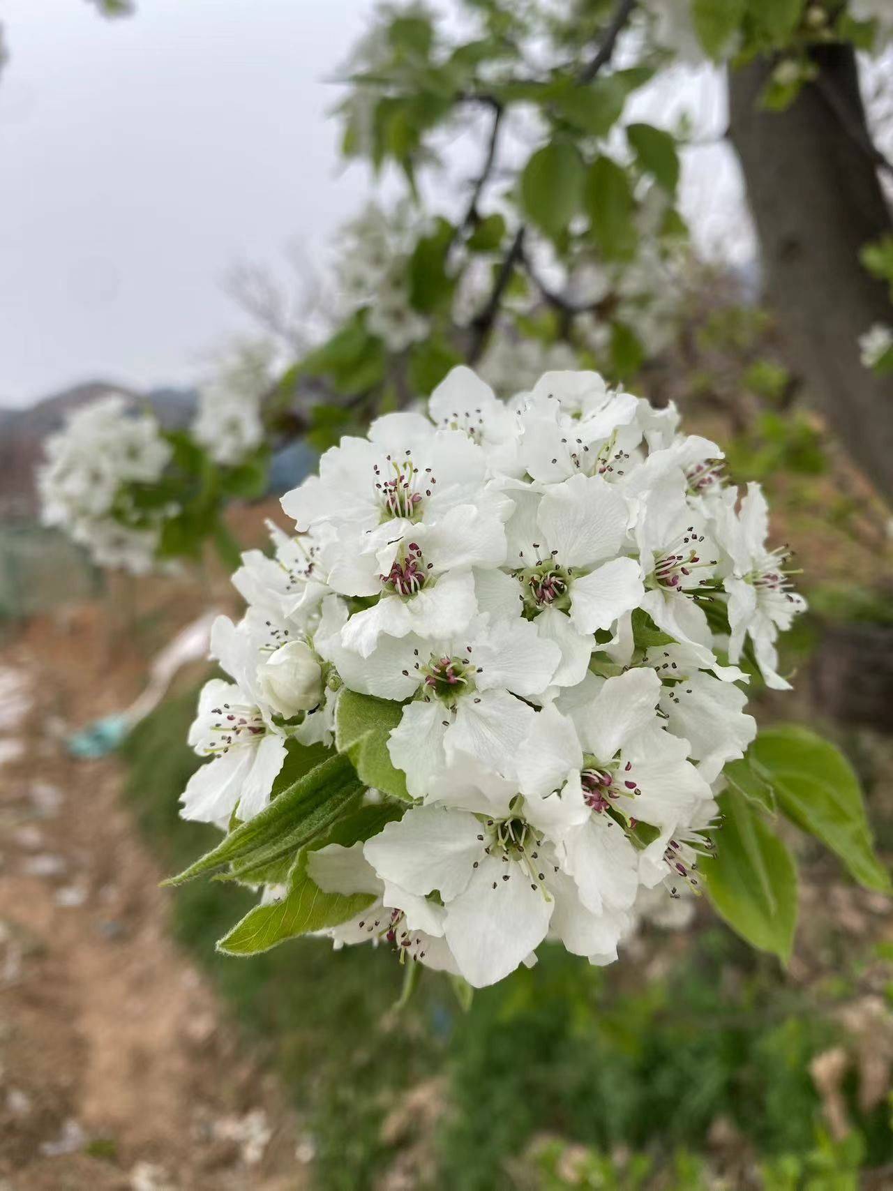 非你不可