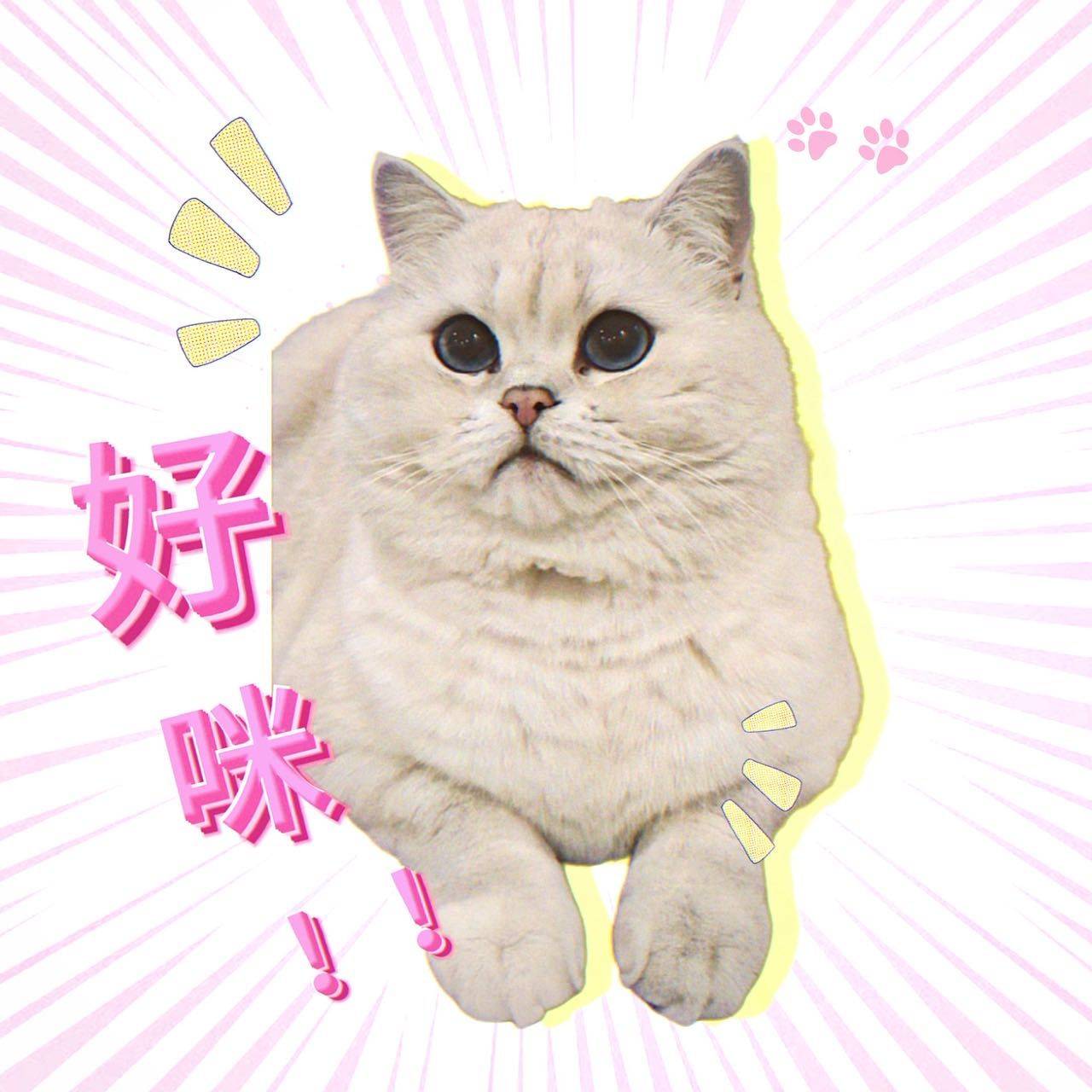 随和的拉布布