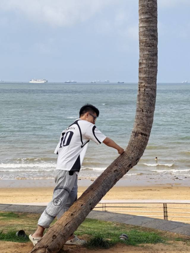 纳容立欲