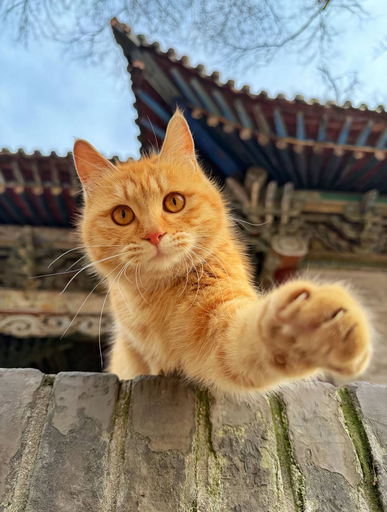 小魚