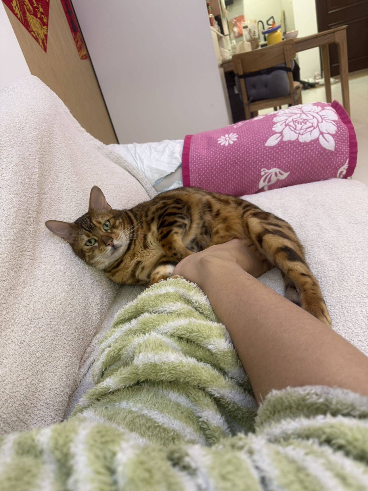 云淡风轻