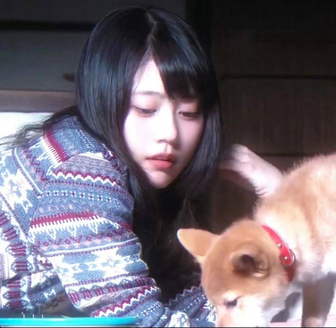 慧慧