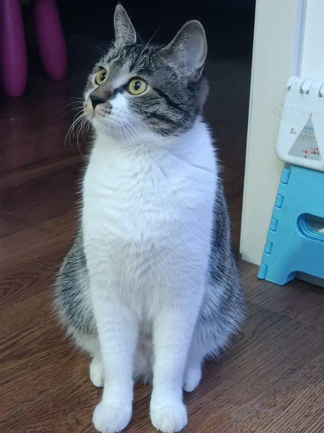 坚强的我