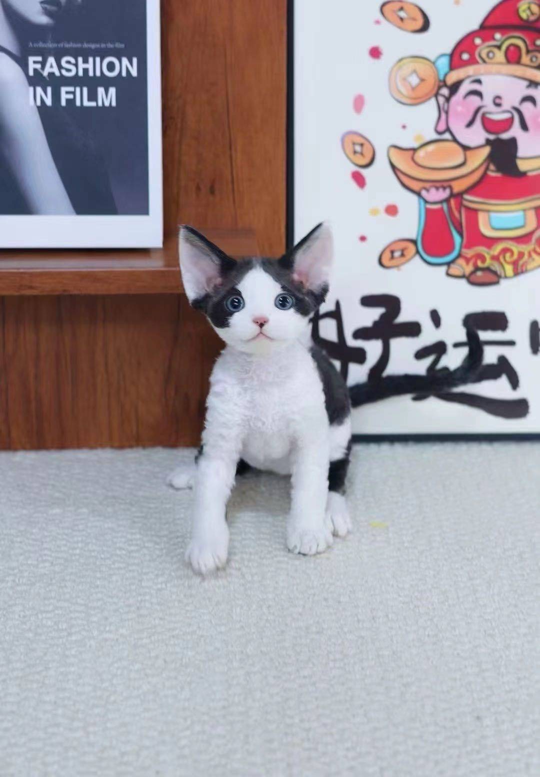 浣花洗剑雪