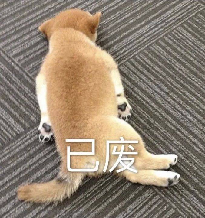 life_photo_0