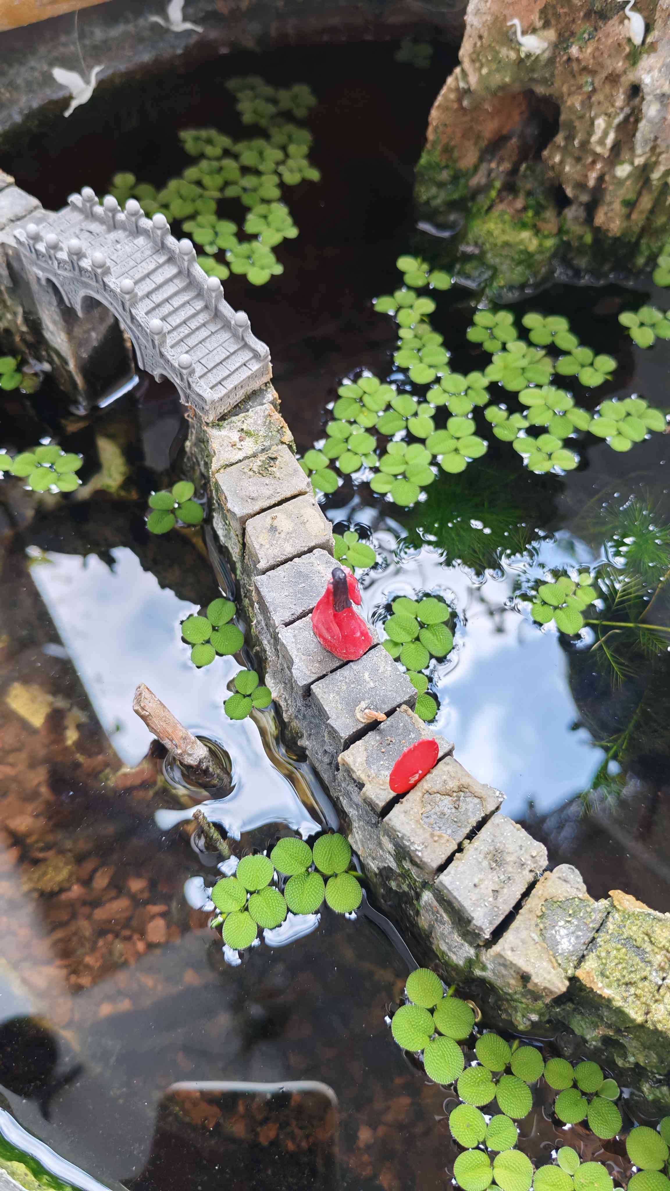 花花世界