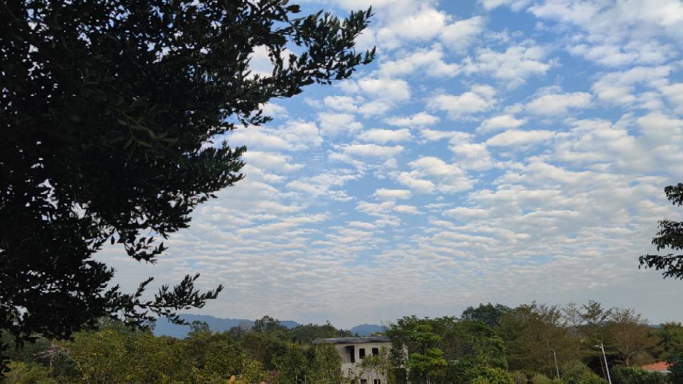 横小五