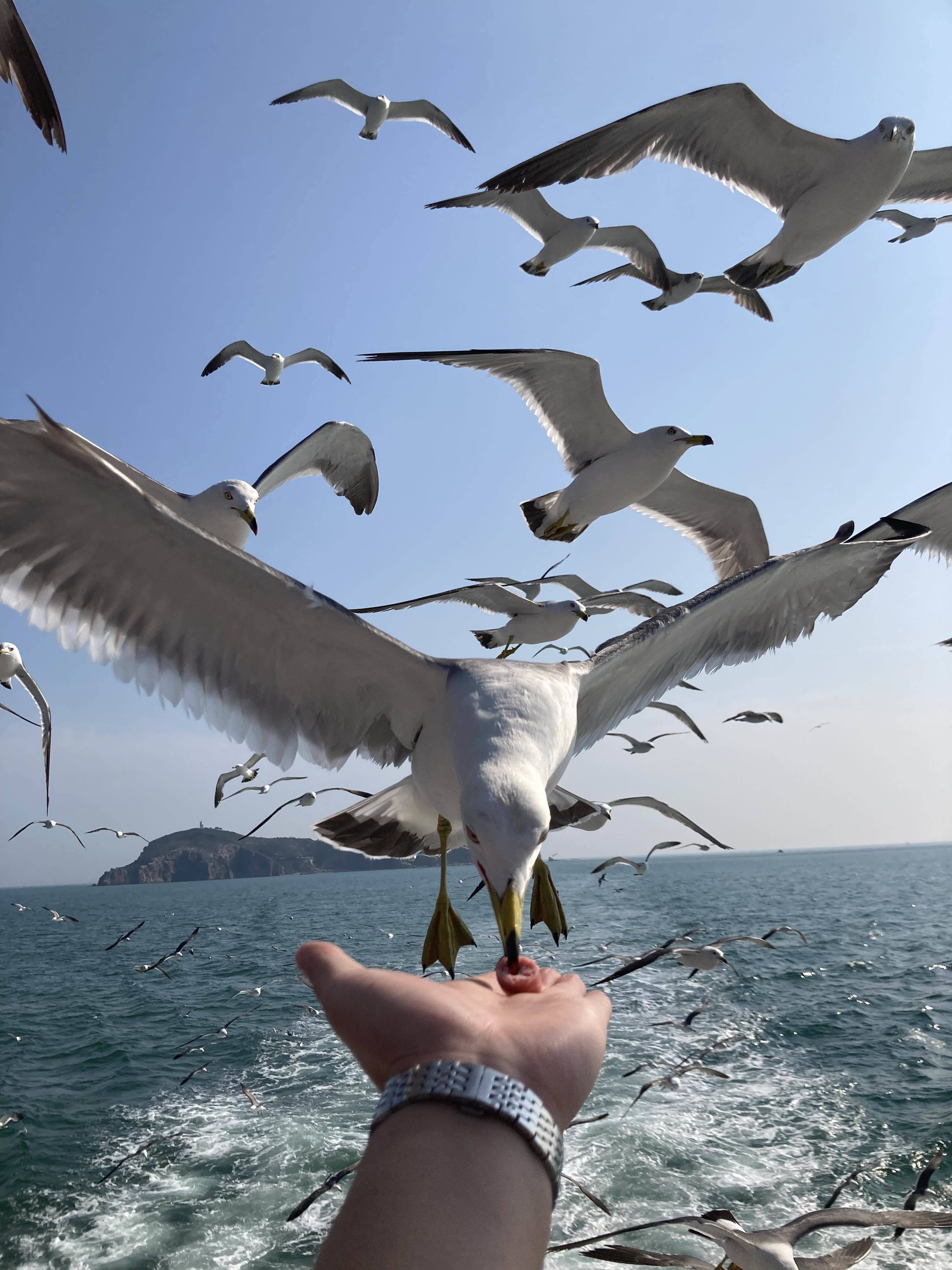 大海