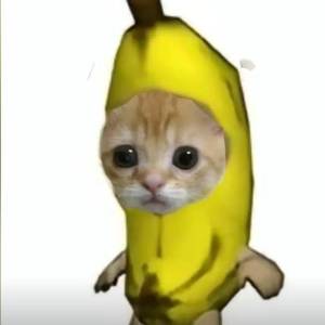 纸质版