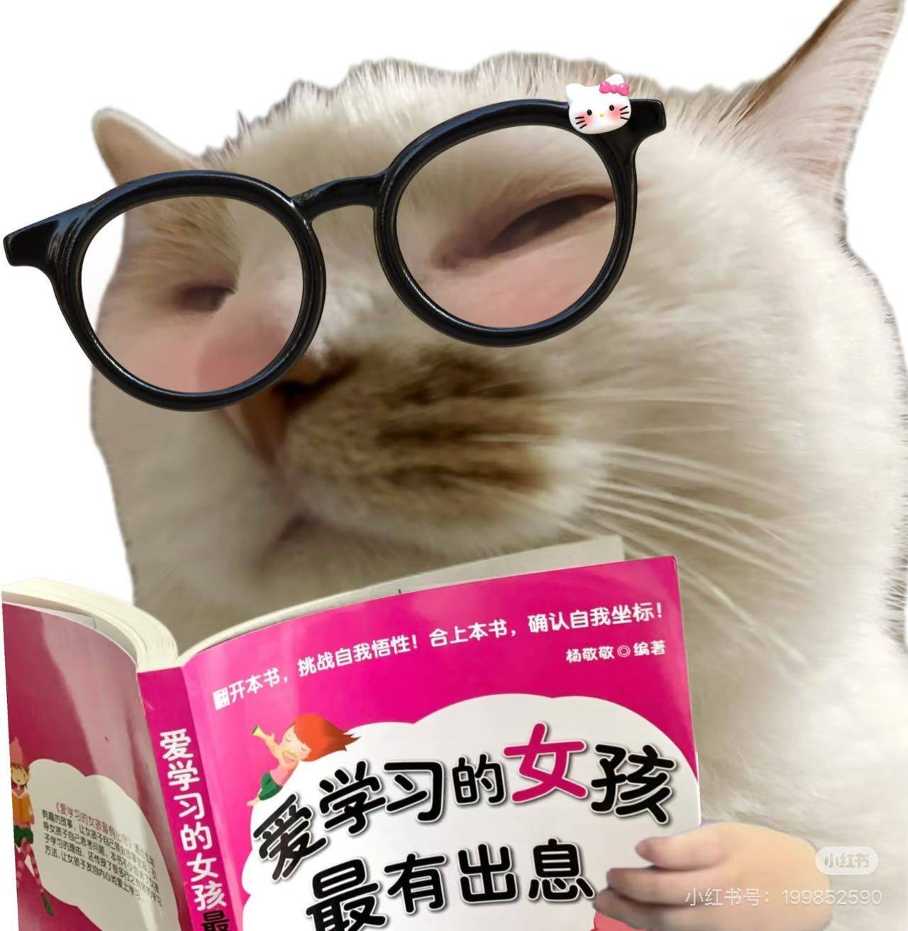 云霏
