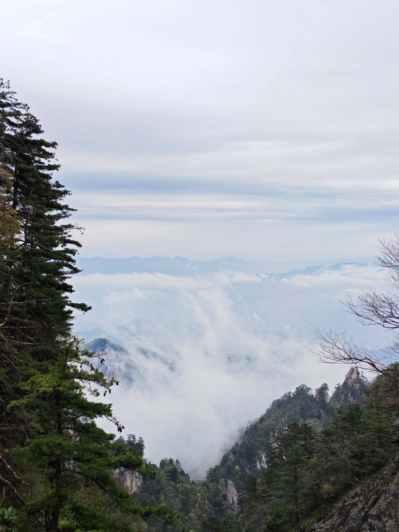 life_photo_2