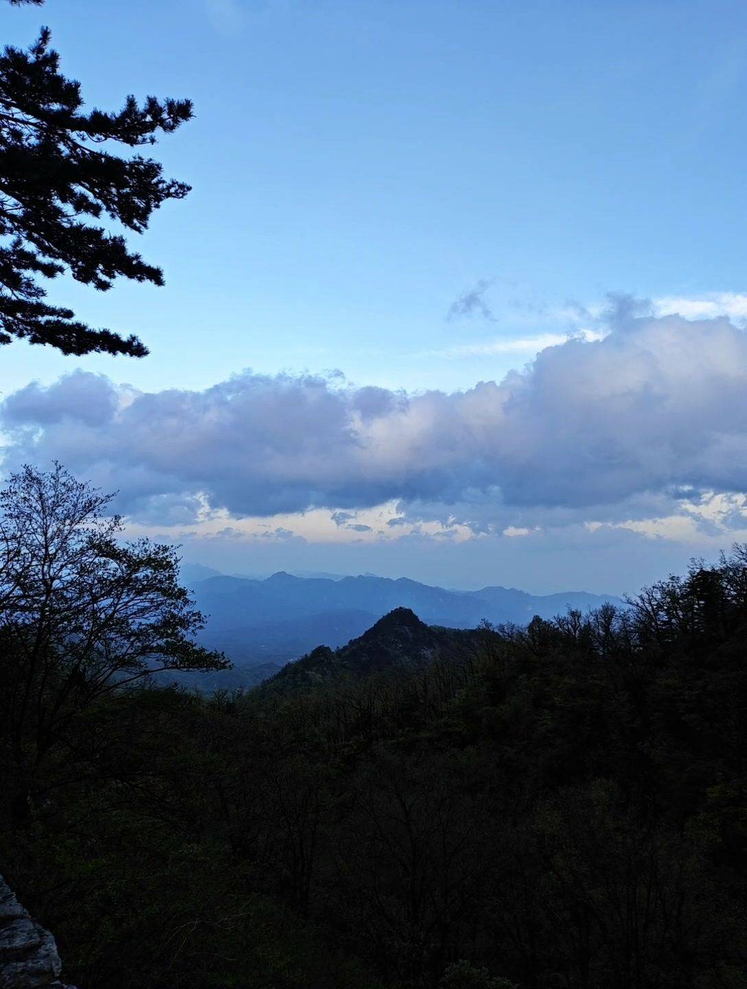 life_photo_1
