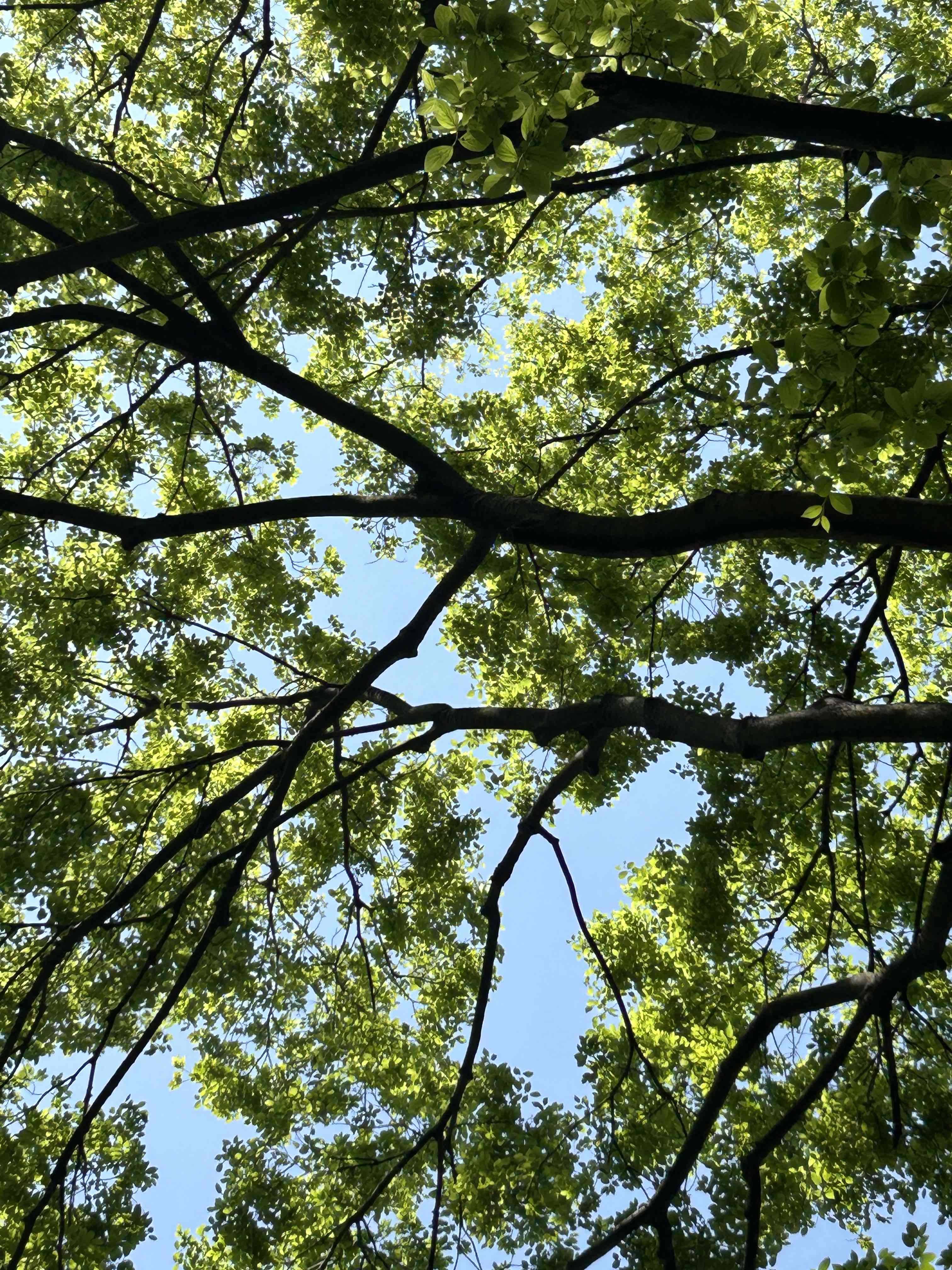 life_photo_2