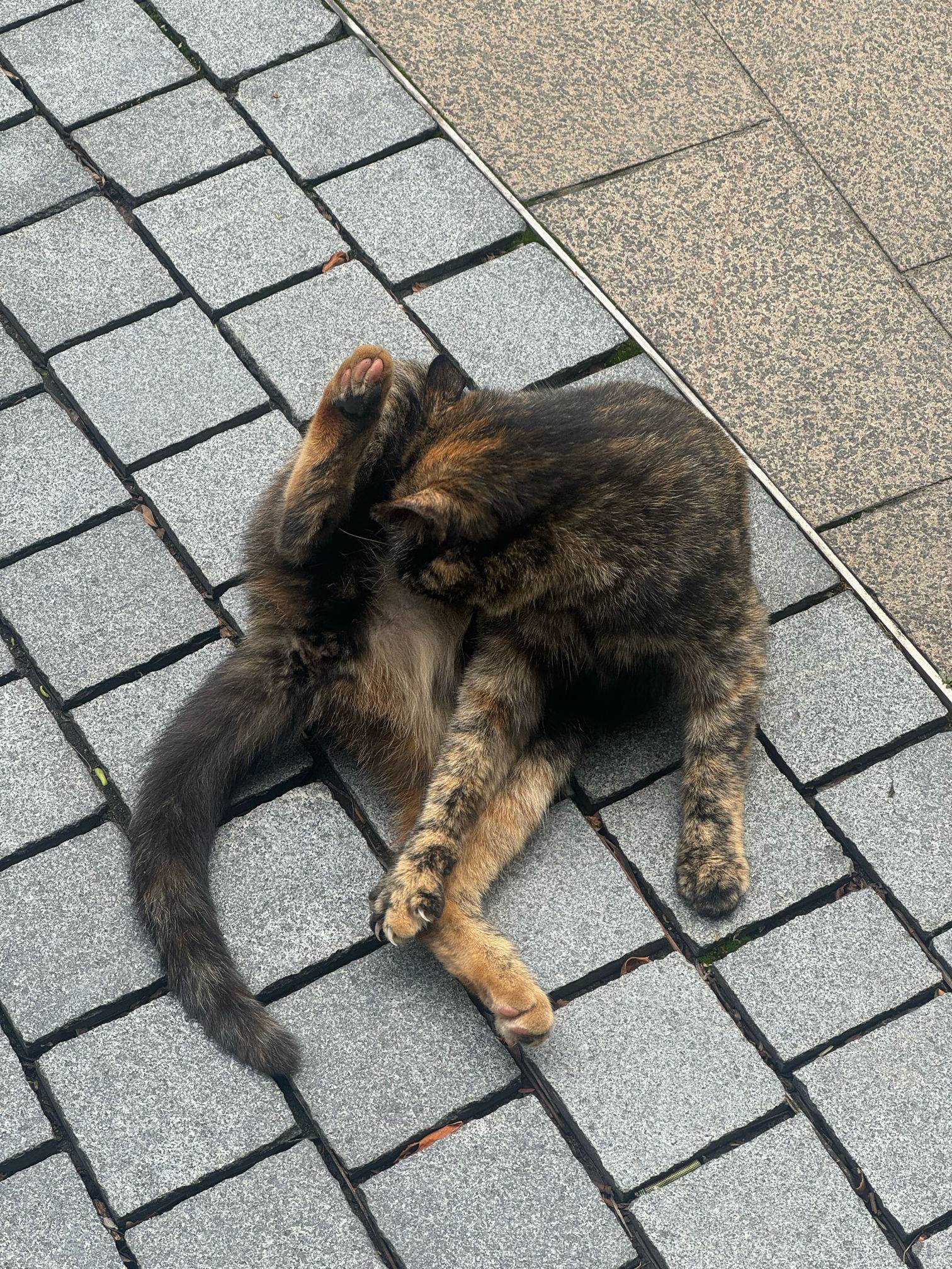 aaaaa