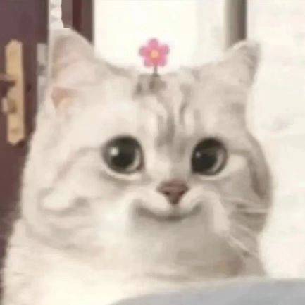（＾ｖ＾）