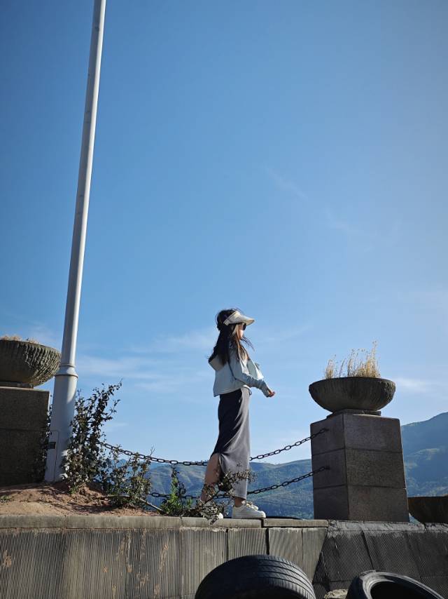 妮可