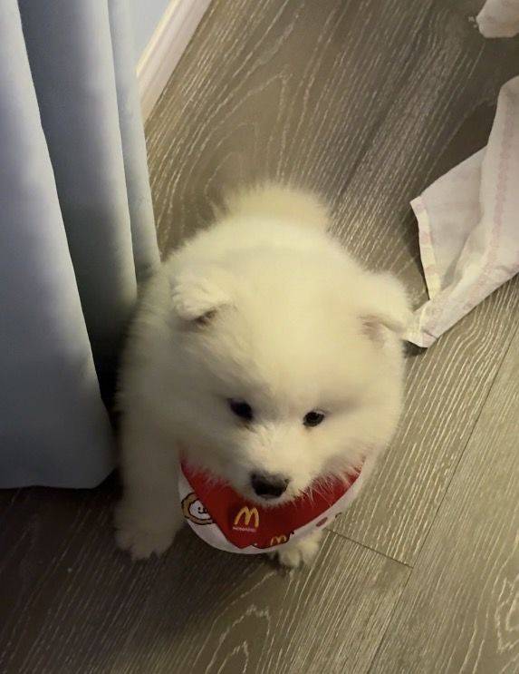 。