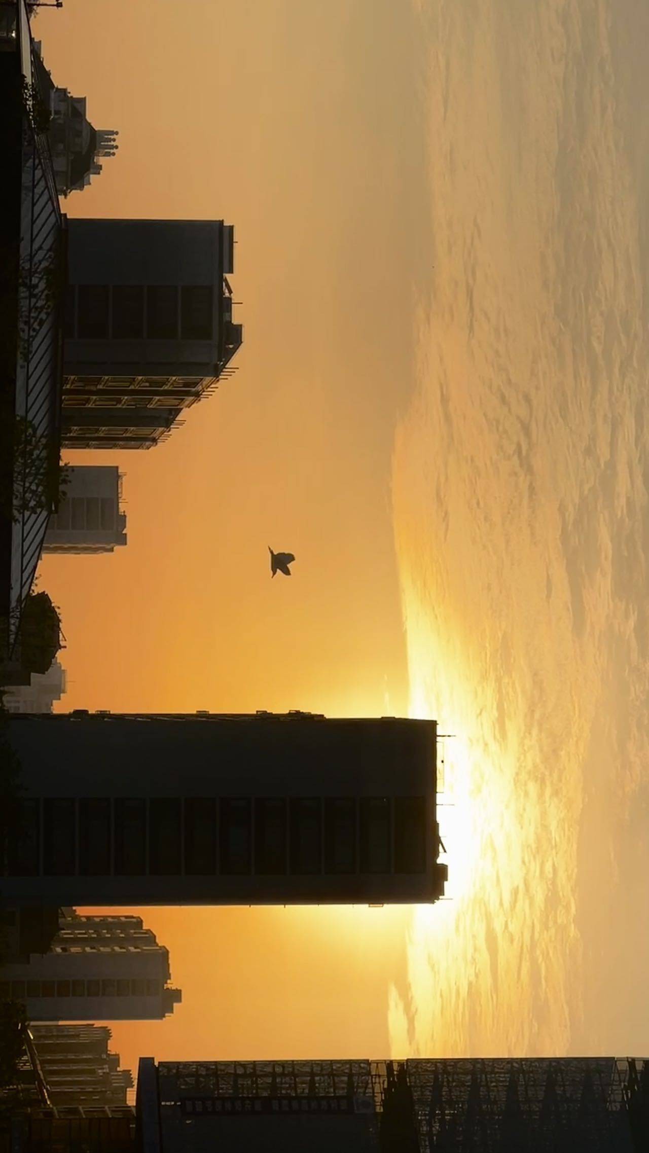 晴空
