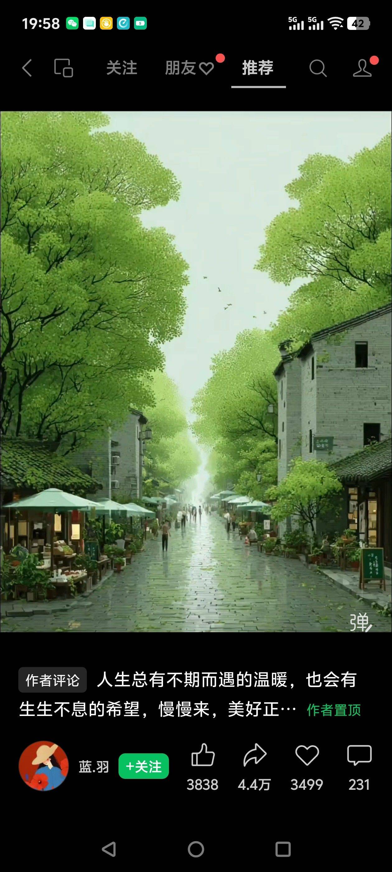 阳光翅膀