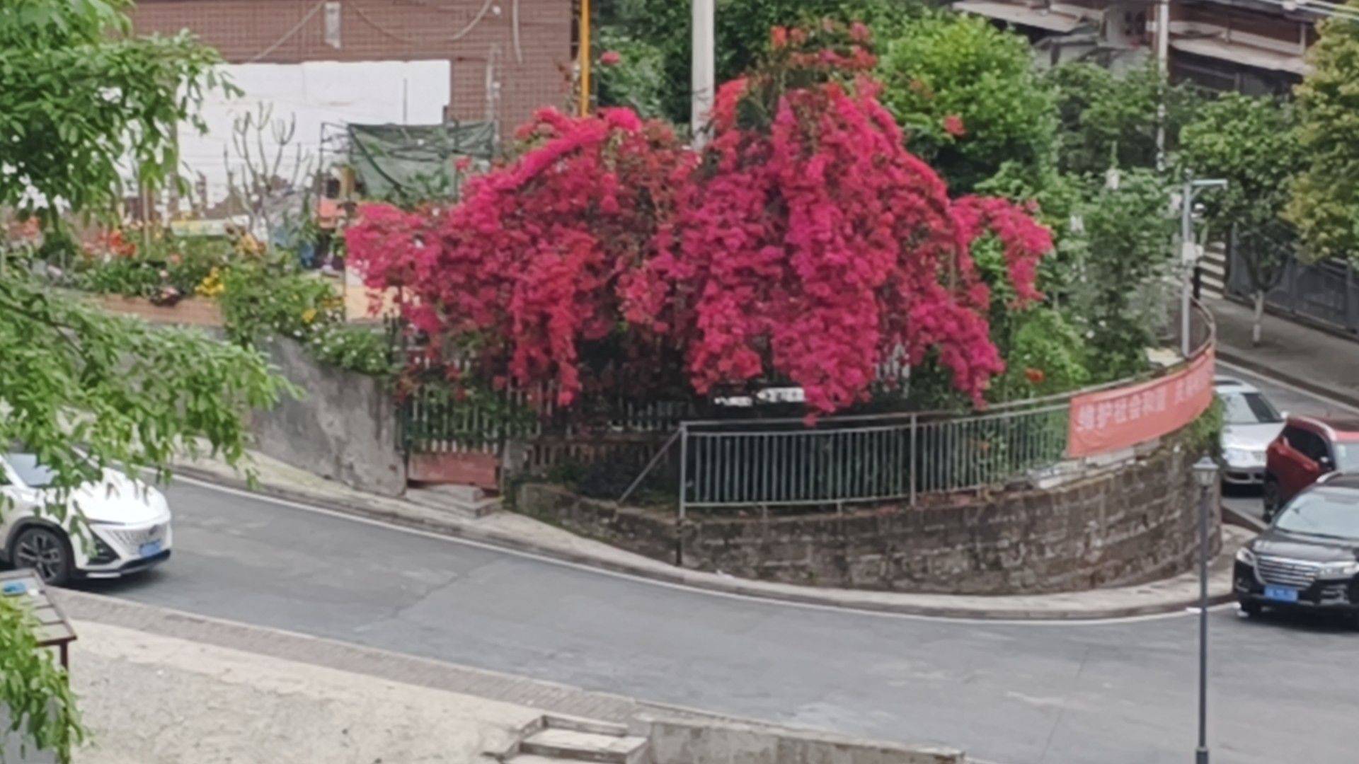嘎嘎嘎