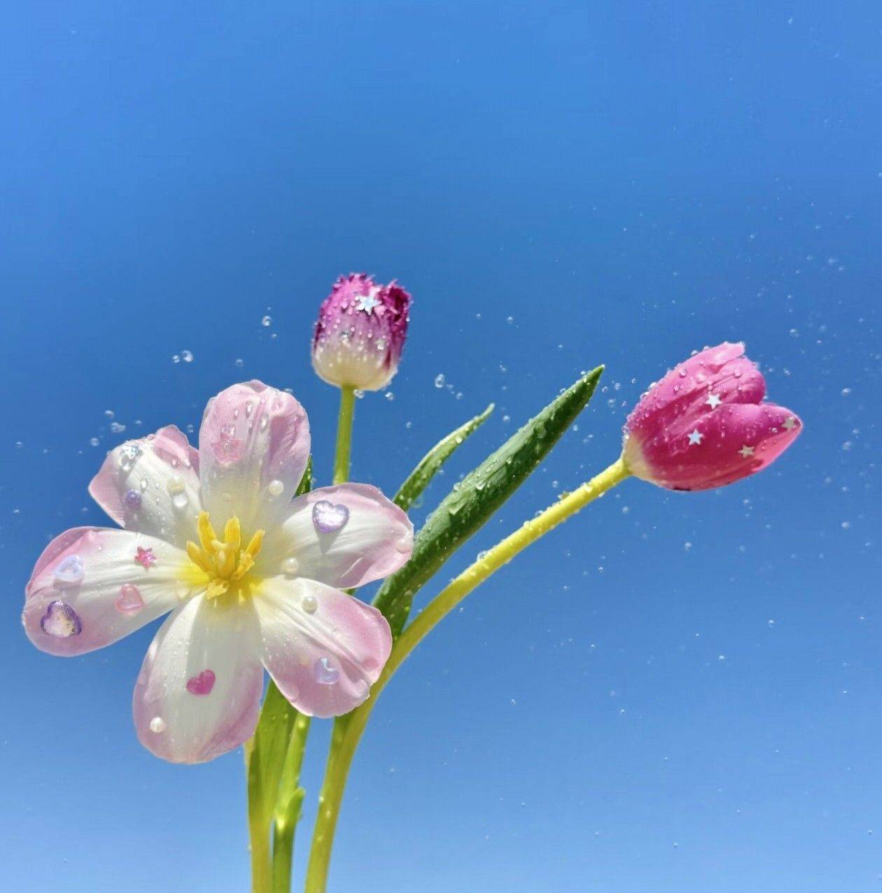 林
