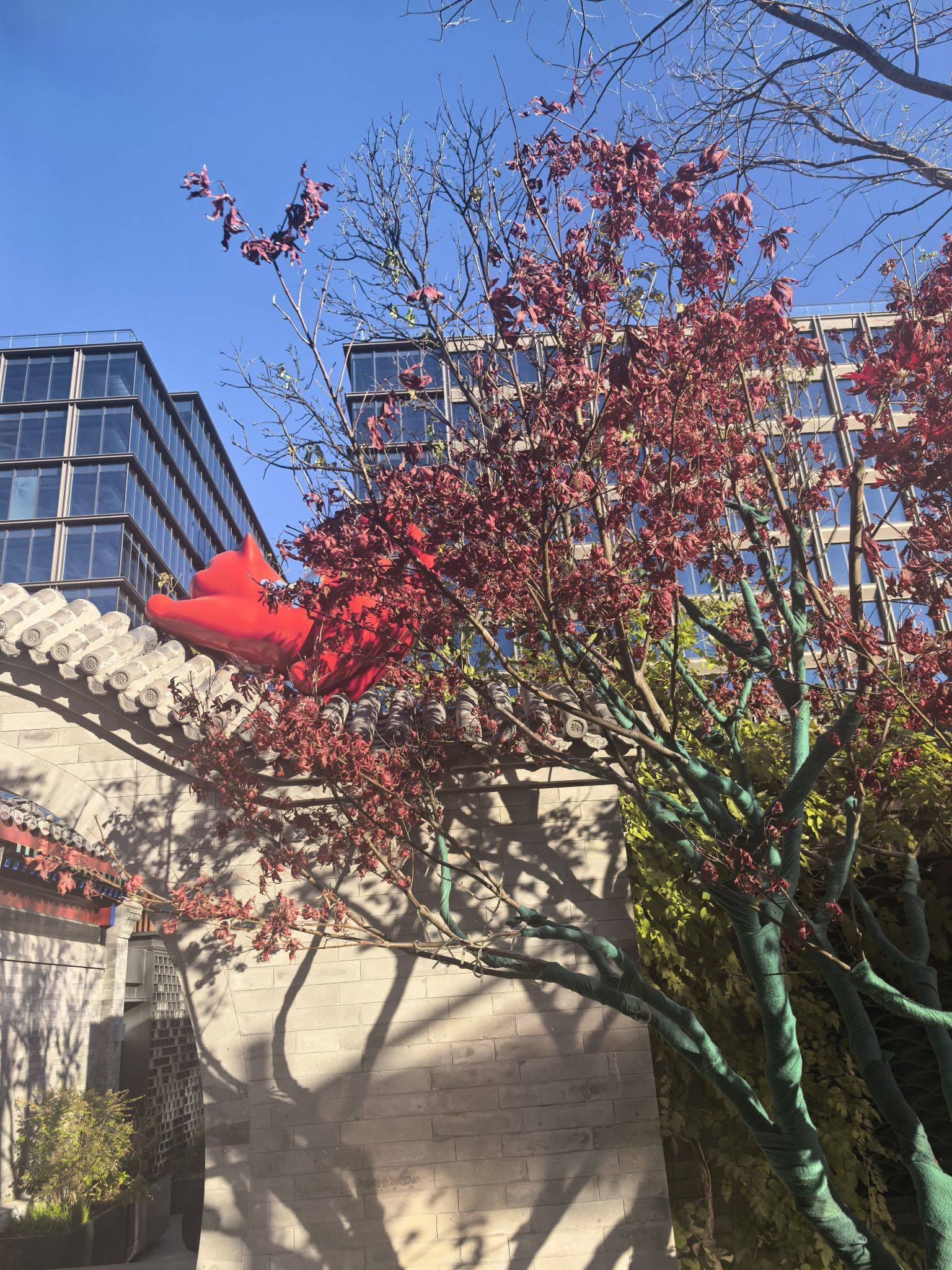 有能力