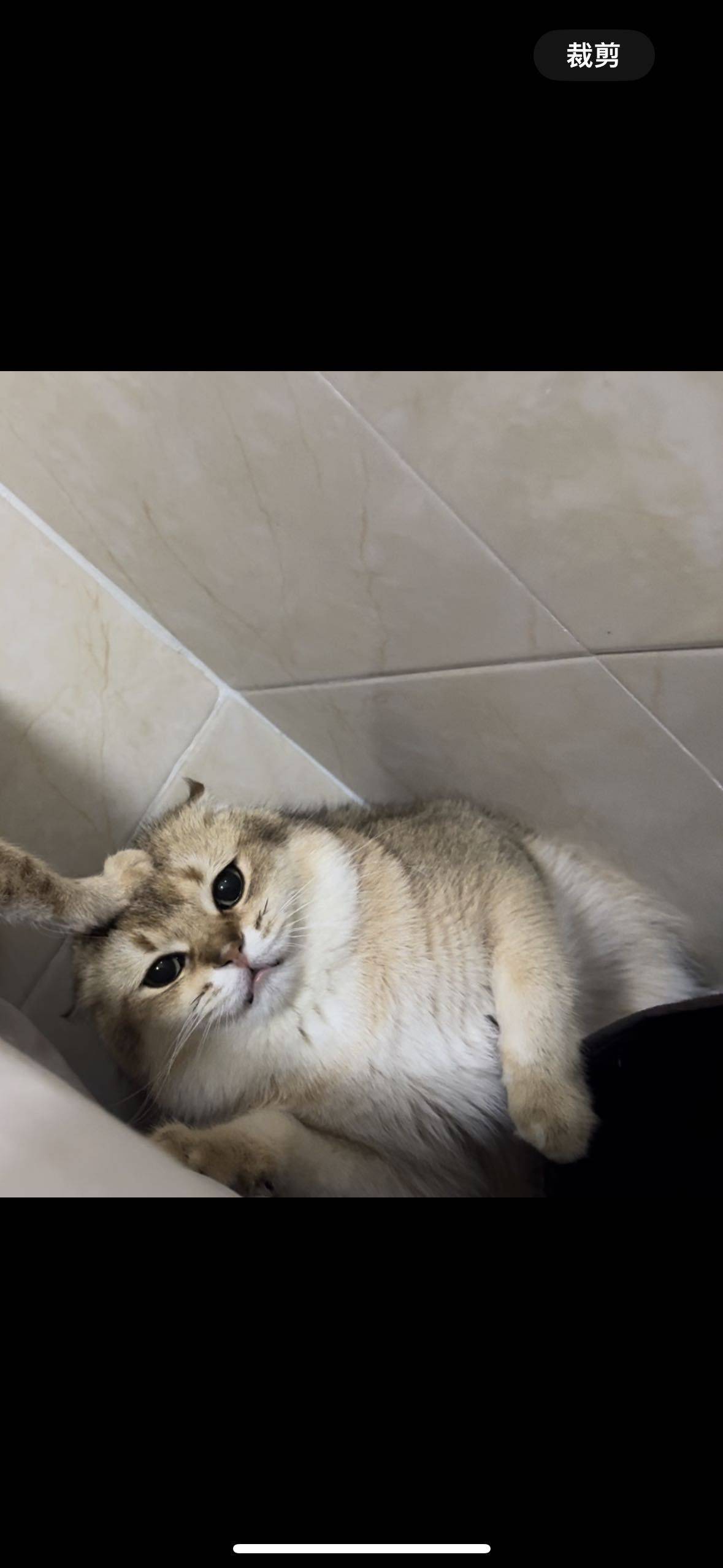 苦瓜大王👿