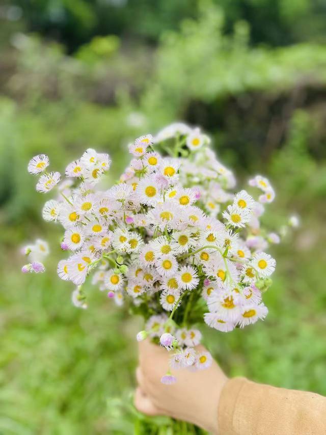 太阳雨