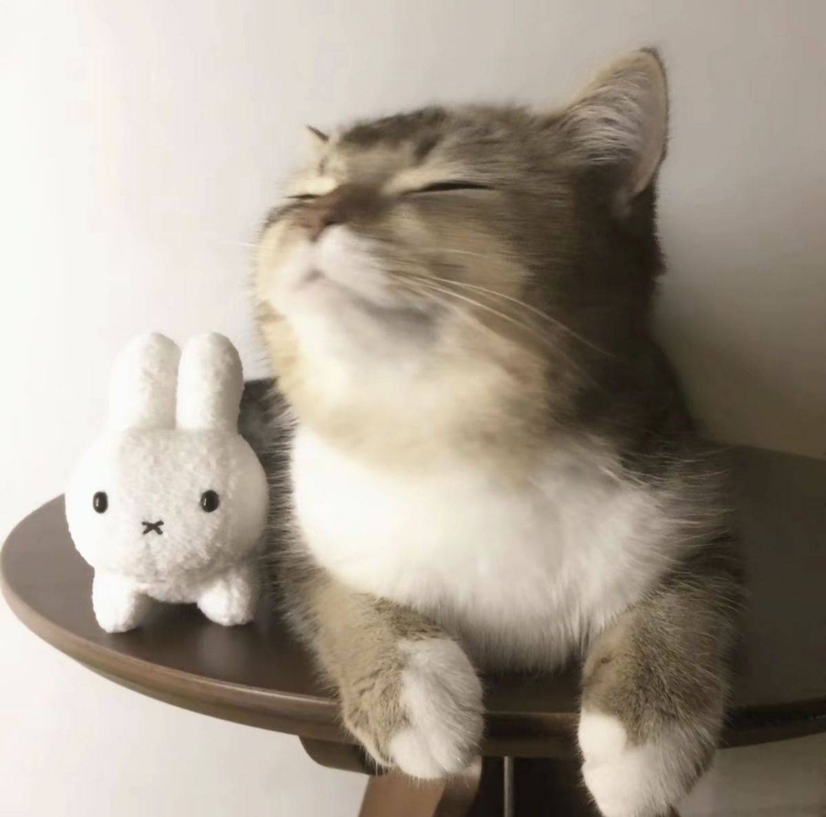 🥕