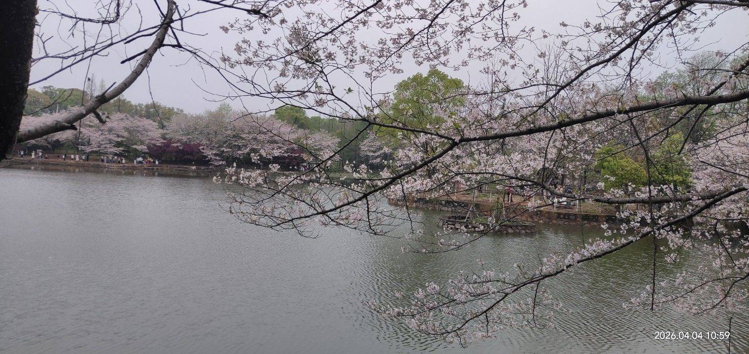 顺外路地铁房房东直租