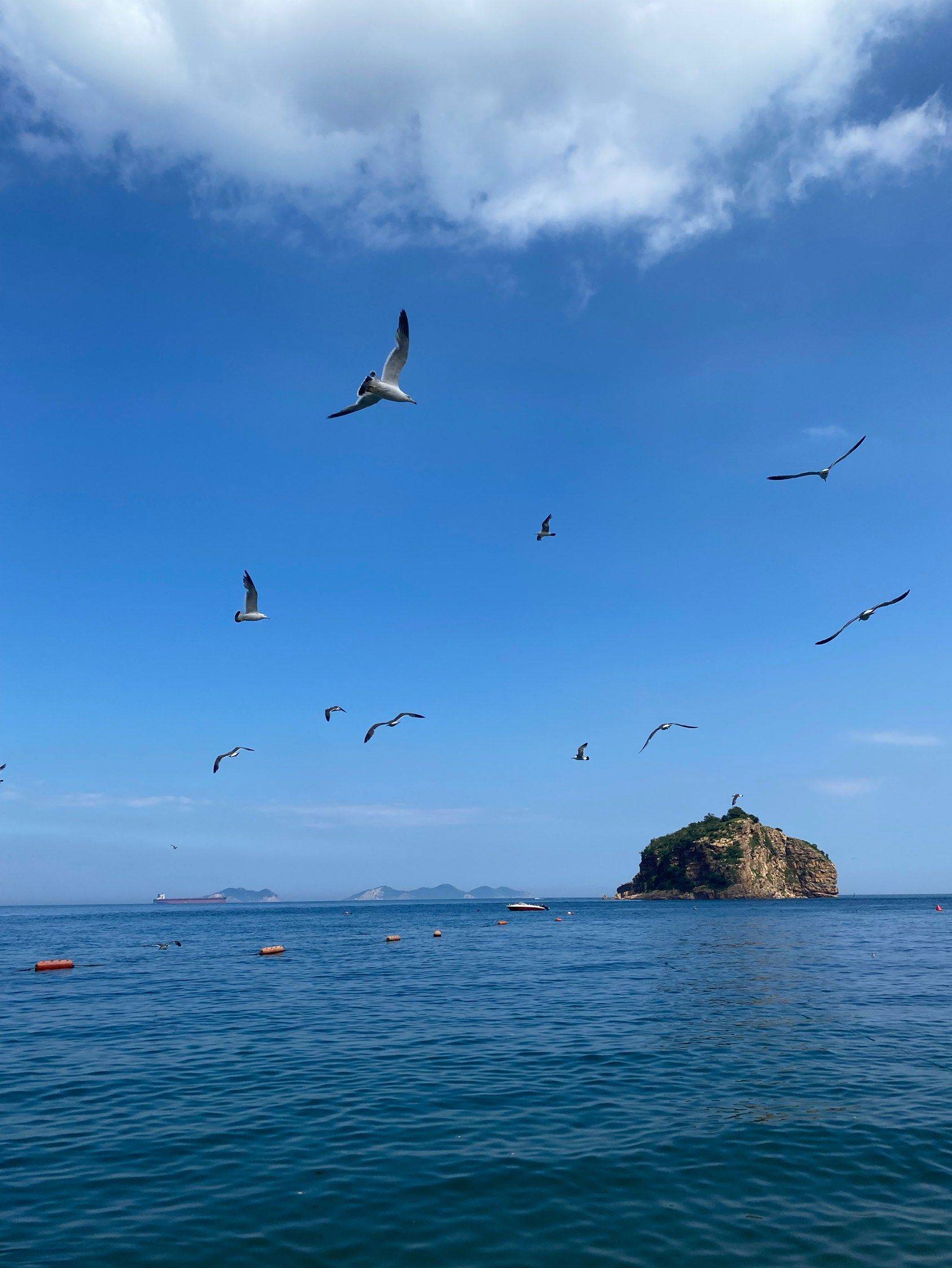温暖的阳光