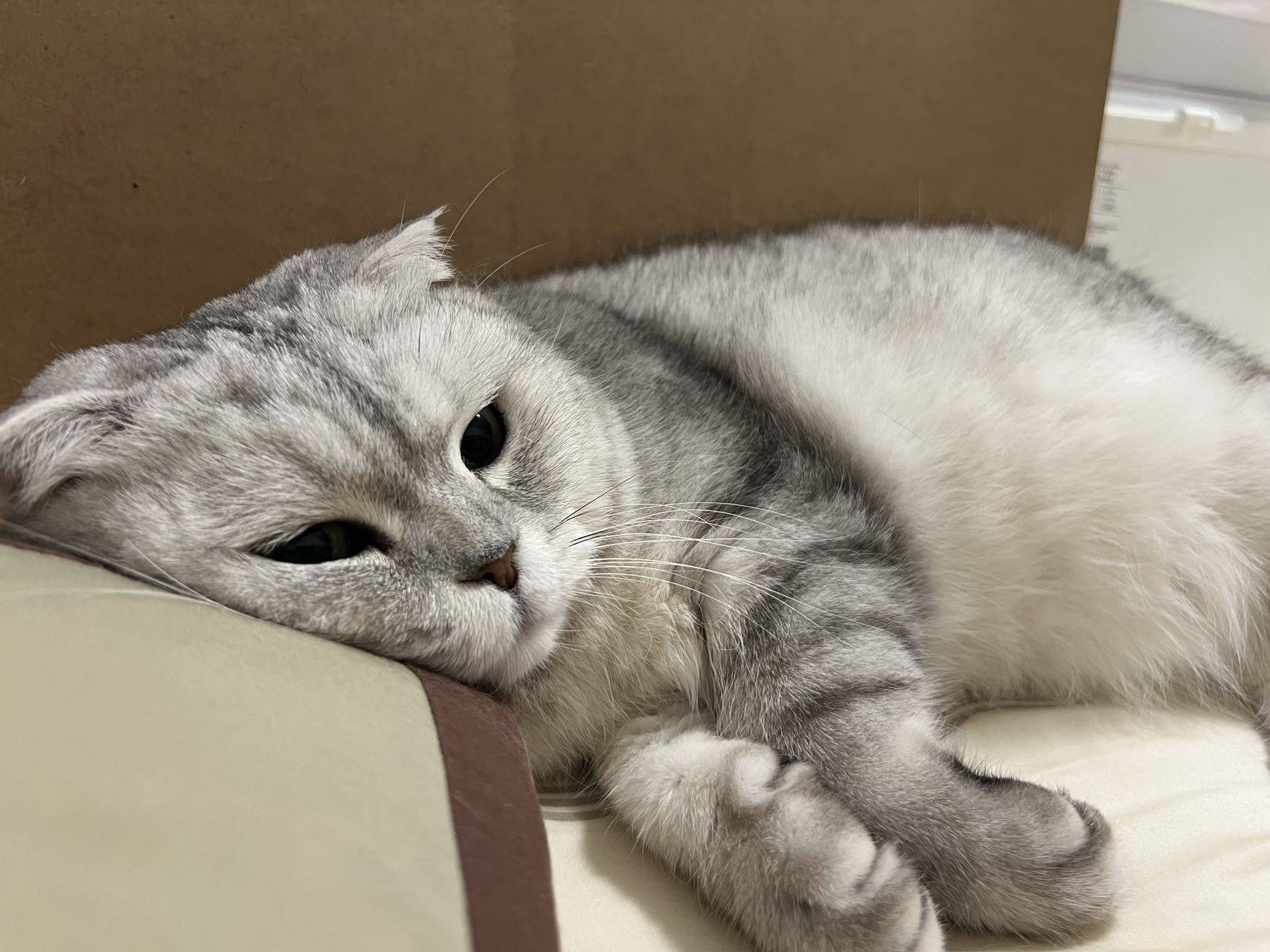 歪歪玲