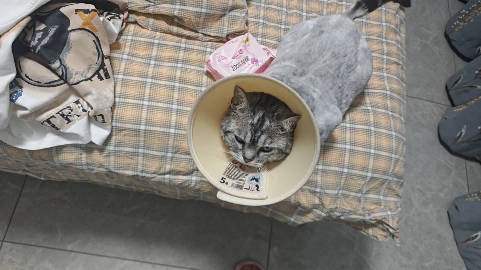 点点