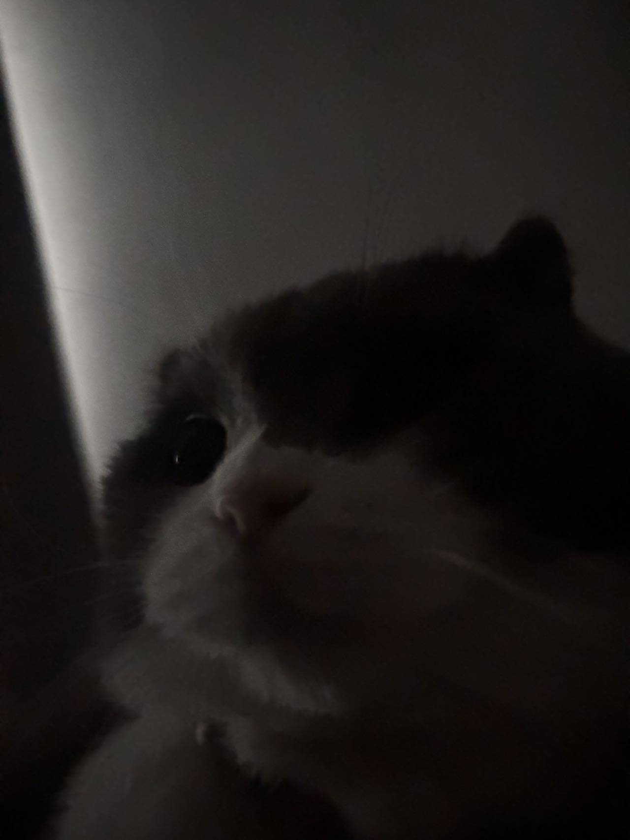 大头