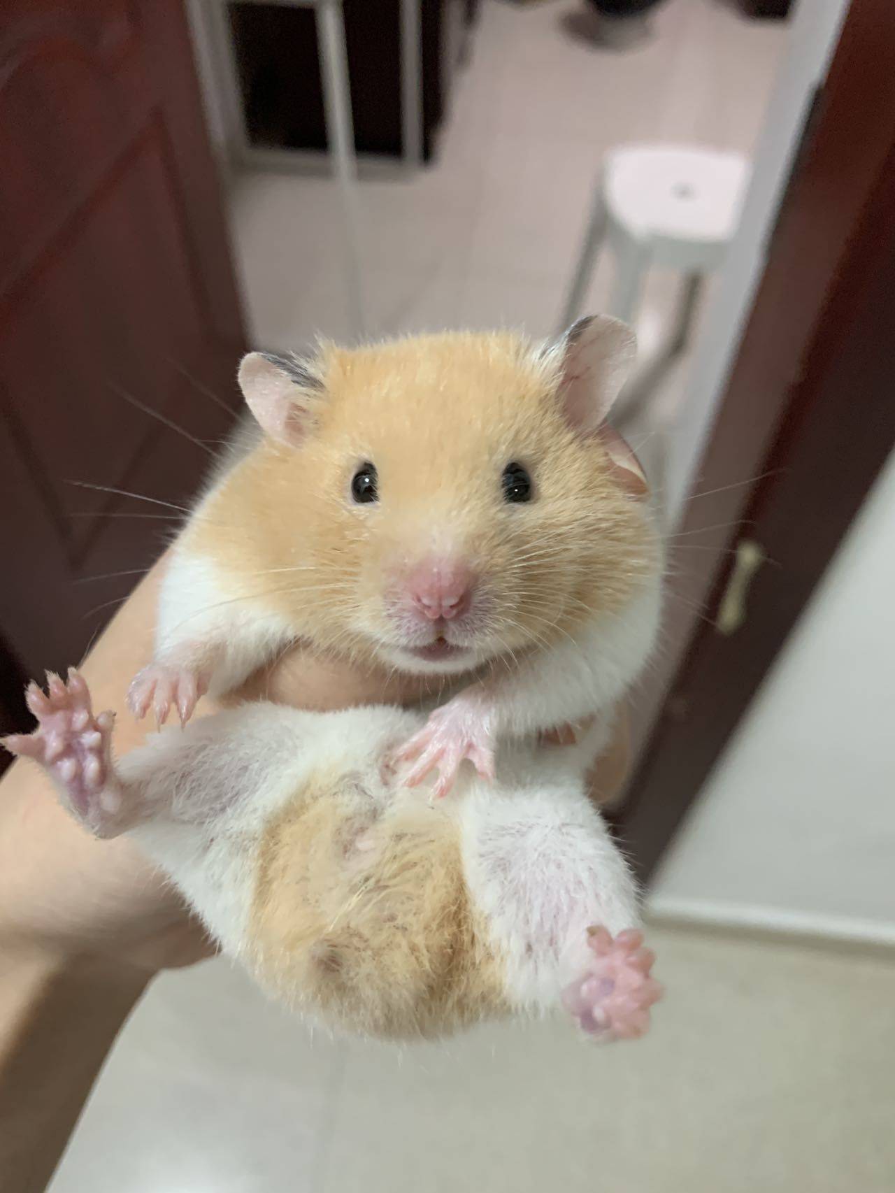 与什么鱼