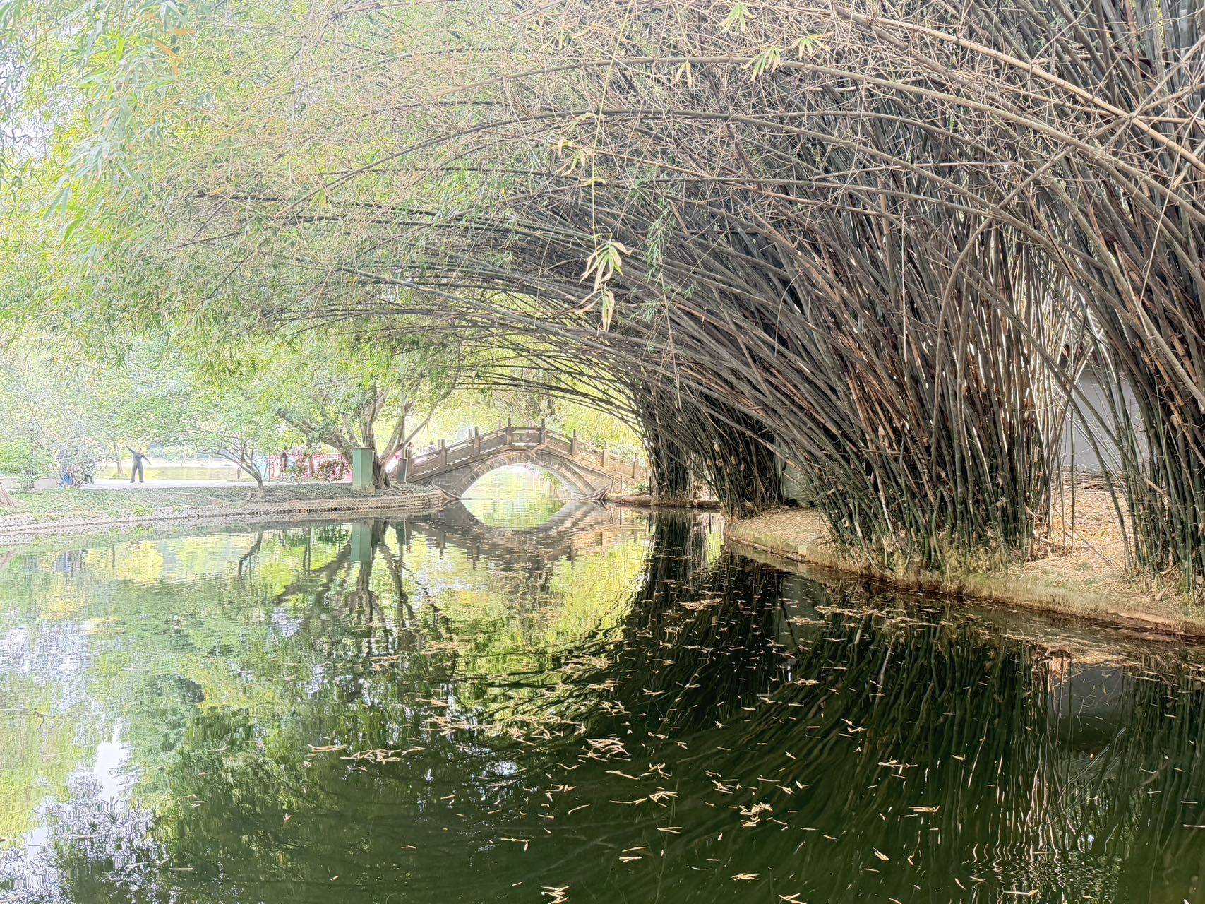 ZHANGY