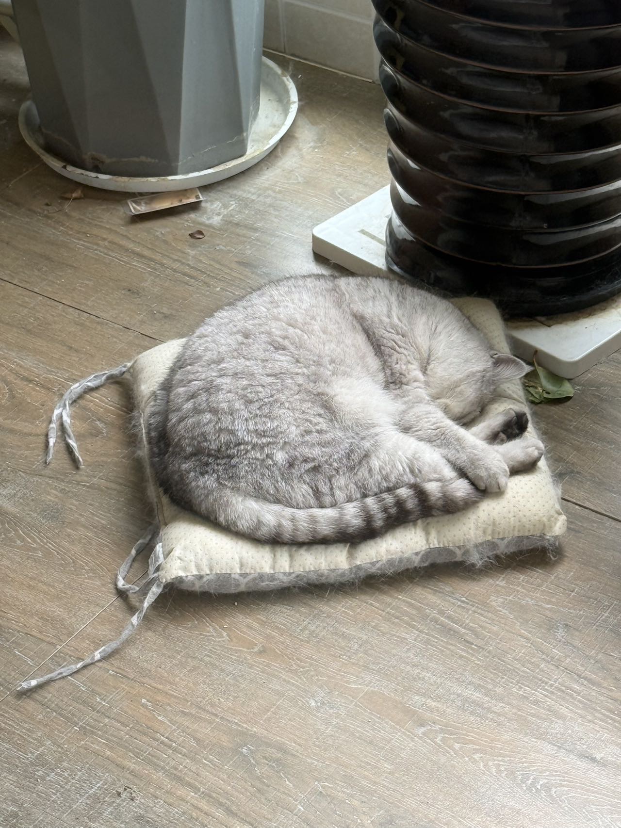123