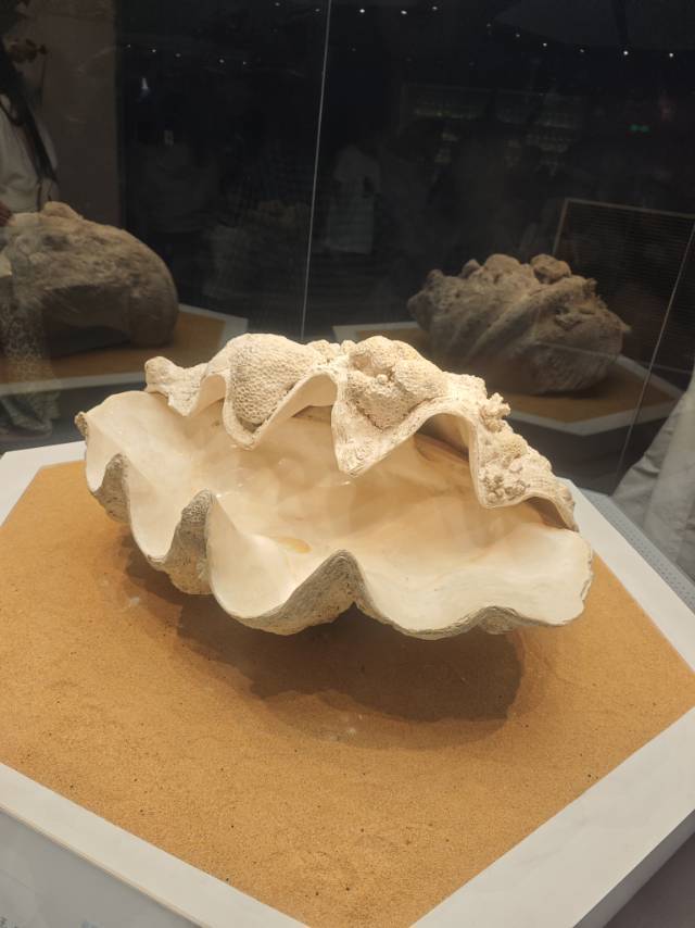 房东