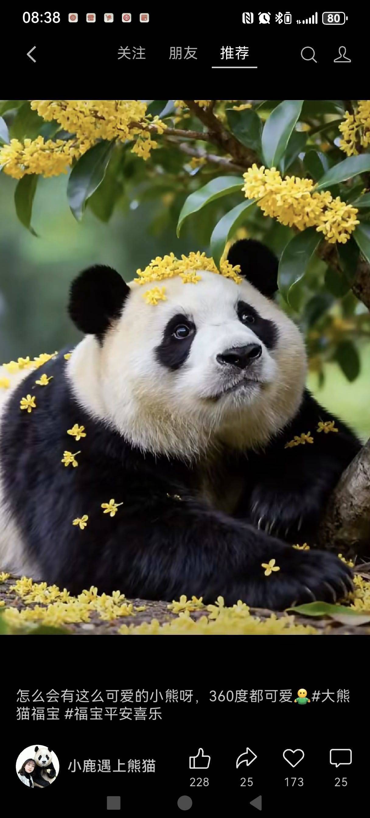 宁静致远🍀