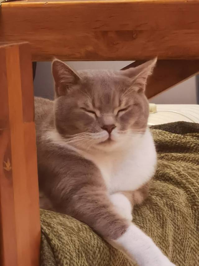 没眼看