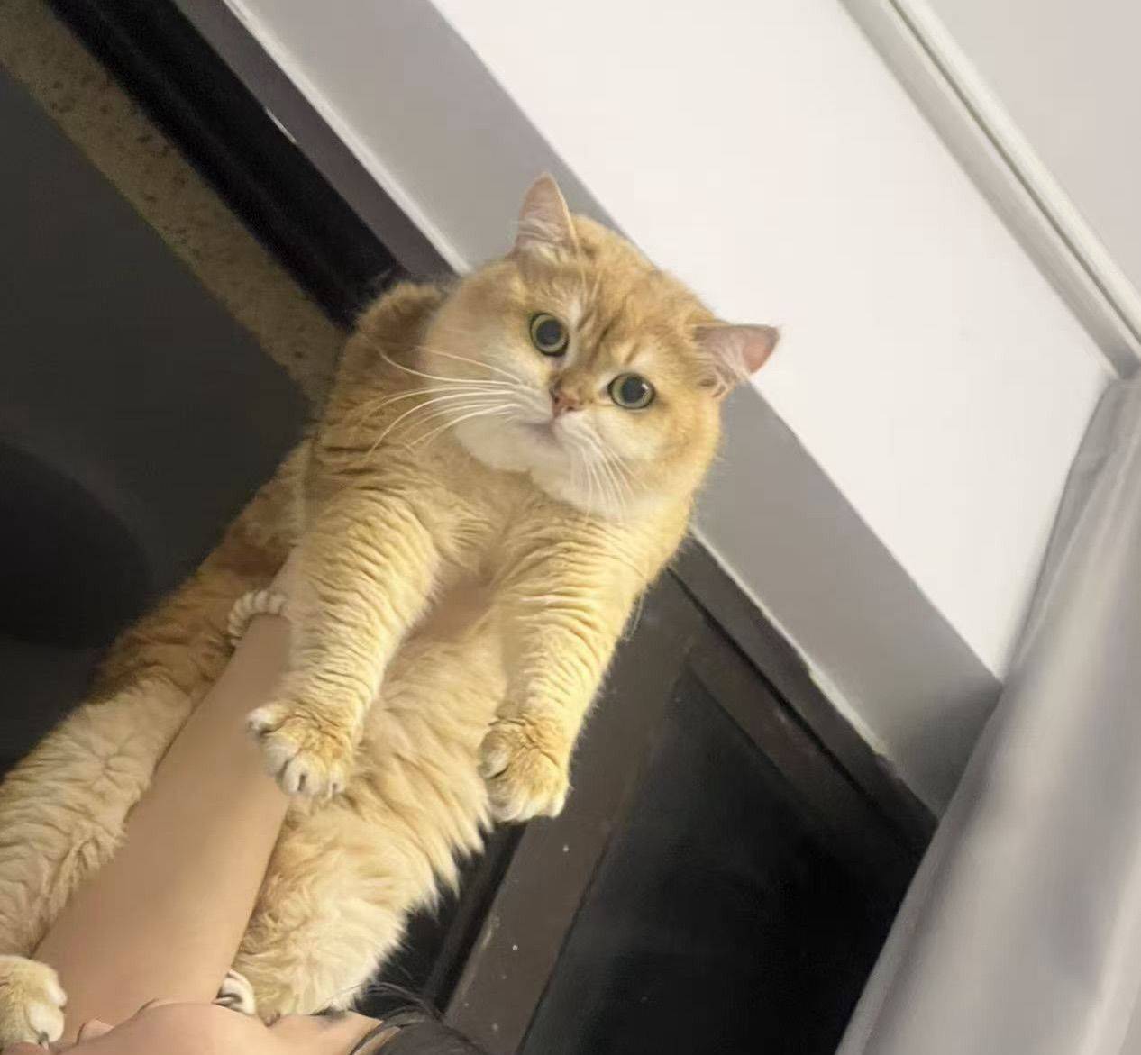 。。