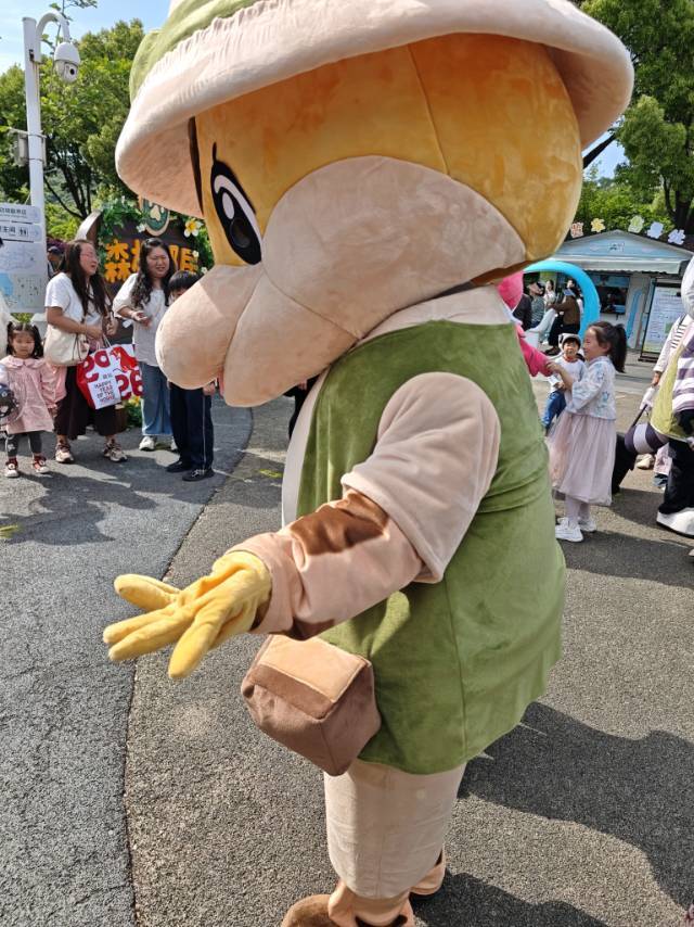 柴柴