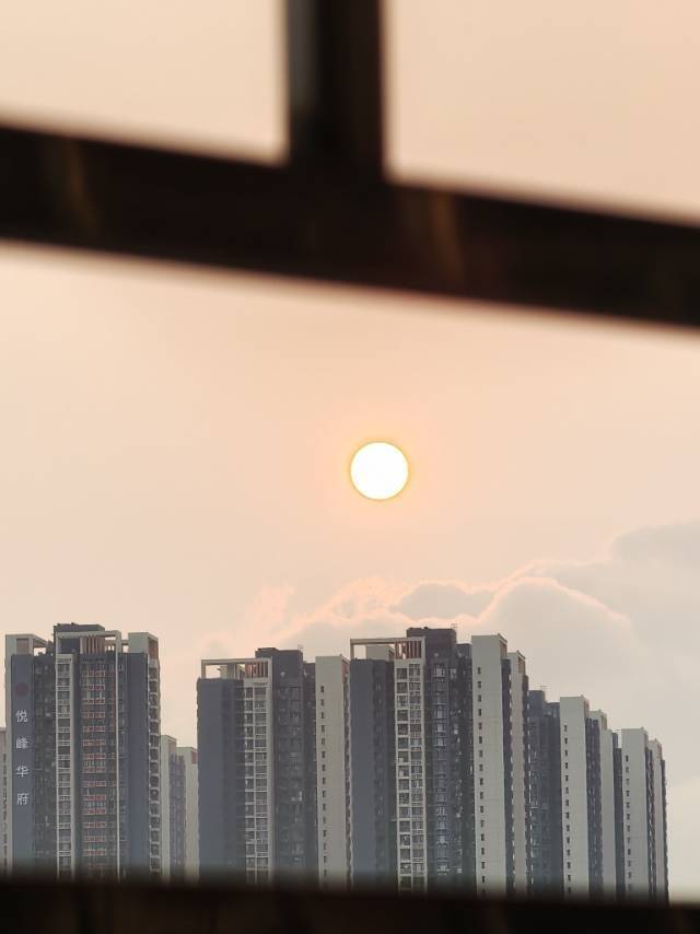 十一