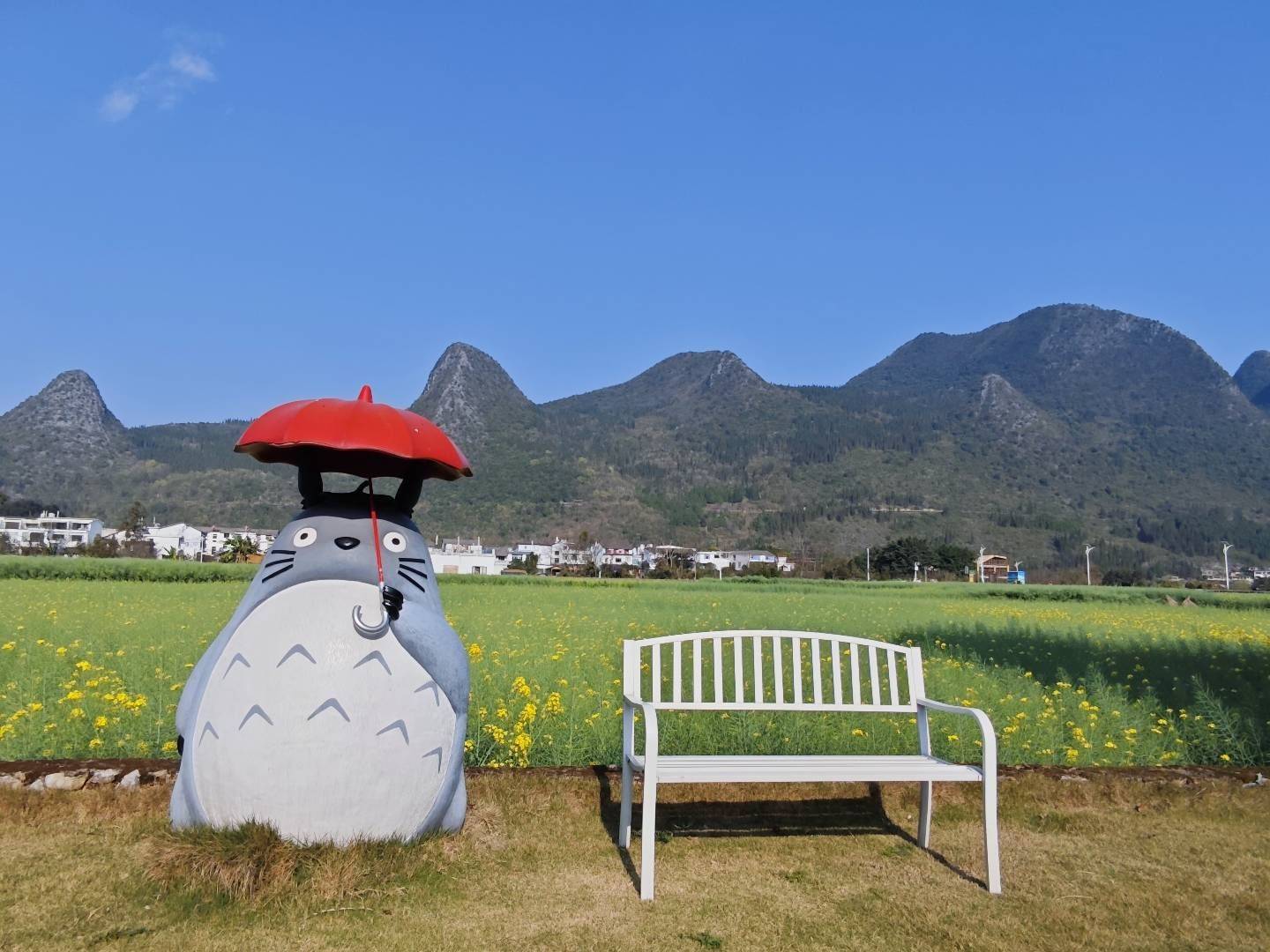 盛夏的回忆