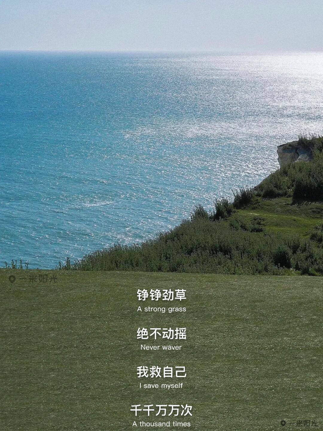 手可摘星辰