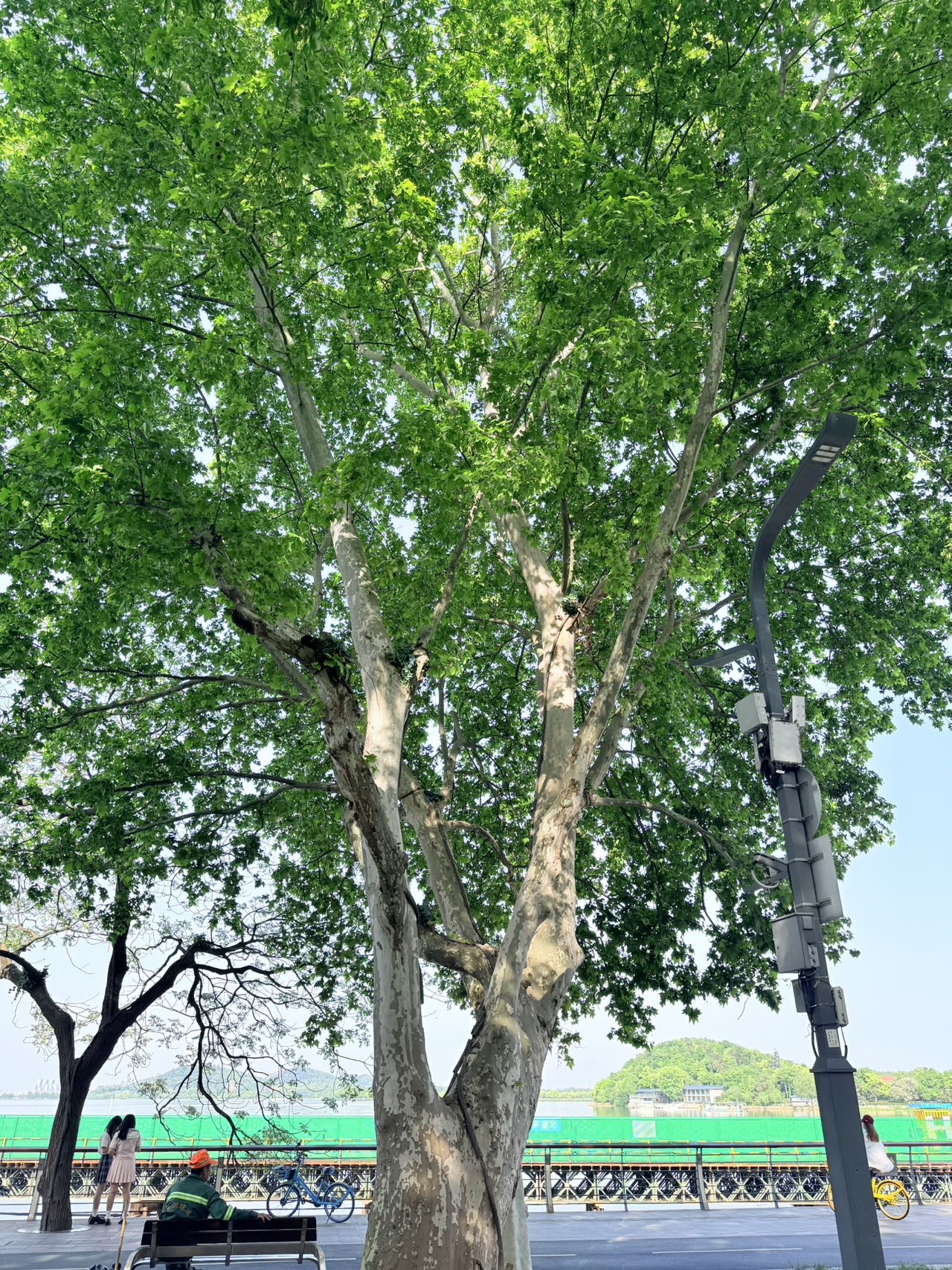 西