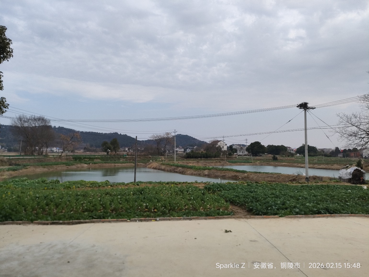 茹古涵今