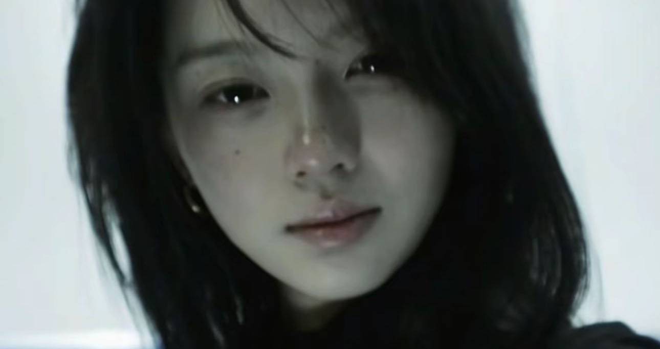 白鸥